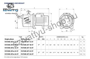 Pedrollo Future-Jet 1B-ST