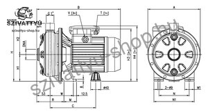 Ebara CDXM 120/12